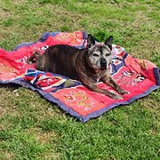 House Sitter - Katherine