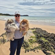 Home Owner wanting sitter in , Australian Capital Territory