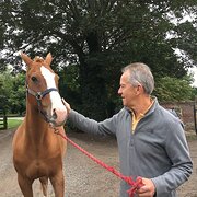 House Sitter - Chris Newbold