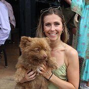 House Sitter - Kiwi in Sydney - work from home