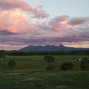 Home Owner wanting sitter in Bundaberg , Queensland