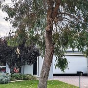 Home Owner wanting sitter in Mandurah , Western Australia