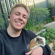 House Sitter - Active, Attentive, Animal Lover 