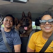 House Sitter - Reliable housesitters 