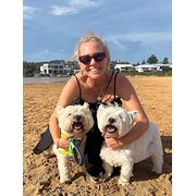 House Sitter - Private estate manager/preschool teacher