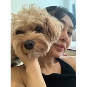 House Sitter - Louisa - Kind, Caring & Reliable Sitter