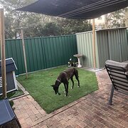 Home Owner wanting sitter in , New South Wales