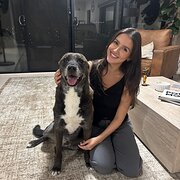 House Sitter - Dog Lover Looking for a Home in Sydney