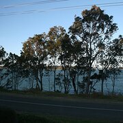 Home Owner wanting sitter in Newcastle, New South Wales