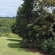 Home Owner wanting sitter in Ballina, New South Wales