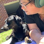 House Sitter - Kind and caring empath