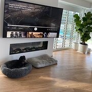 Home Owner wanting sitter in , Queensland