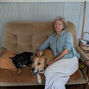 House Sitter - Calm Reliable PetHousesitting since 2009