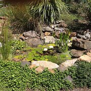 Home Owner wanting sitter in Wollongong , New South Wales