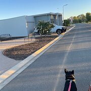 Home Owner wanting sitter in , Victoria