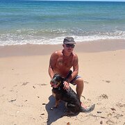 House Sitter - Veteran and his dog rual and remote 