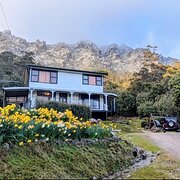Home Owner wanting sitter in , Tasmania