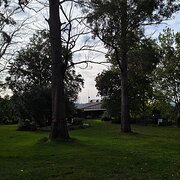 Home Owner wanting sitter in , New South Wales