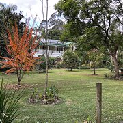 Home Owner wanting sitter in Brisbane, Queensland