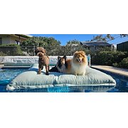 Home Owner wanting sitter in Canberra City, Australian Capital Territory