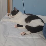 Home Owner wanting sitter in Beaudesert, Queensland