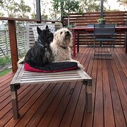 Home Owner wanting sitter in , New South Wales
