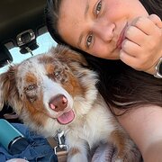 House Sitter - Reliable House Sitter in Echuca