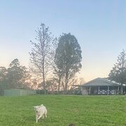 Home Owner wanting sitter in Newcastle, New South Wales