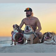 Home Owner wanting sitter in Brisbane , Queensland