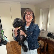 House Sitter - Responsible dog/animal/home sitting