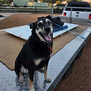 Home Owner wanting sitter in Perth, Western Australia