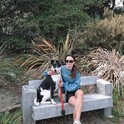 House Sitter - A friend for your four legged friend