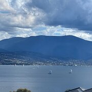 Home Owner wanting sitter in Hobart, Tasmania