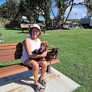 House Sitter - Pet/House sitter experienced & reliable