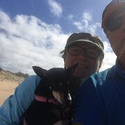 House Sitter - Reliable Honest Caring Responsible 