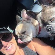 House Sitter - Dolls_Stayz