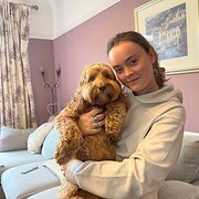 House Sitter - Experienced house sitter and pet lover 