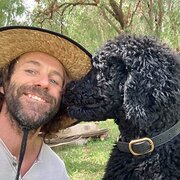 House Sitter - Calm, grounded and trustworthy