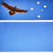 House Sitter - Under the Cross - House & Farm Minder