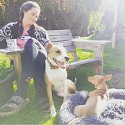 House Sitter - Michaela B 