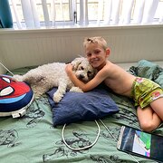 Home Owner wanting sitter in Mandurah , Western Australia