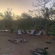 Home Owner wanting sitter in Bundaberg , Queensland