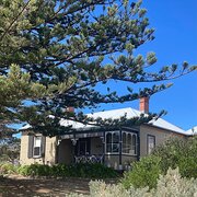 Home Owner wanting sitter in Hobart, Tasmania