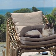 Home Owner wanting sitter in , Queensland