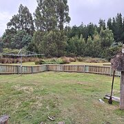 Home Owner wanting sitter in New Norfolk , Tasmania