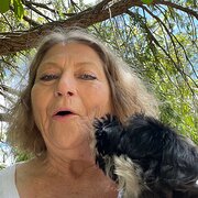 House Sitter - Doglover