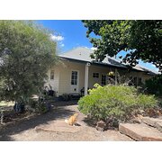 Home Owner wanting sitter in Melbourne, Victoria