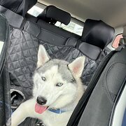 Home Owner wanting sitter in Gosford, New South Wales