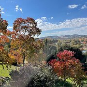 Home Owner wanting sitter in Albury/Wodonga, Victoria