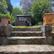 Home Owner wanting sitter in Sydney, New South Wales